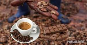 какао та шоколад