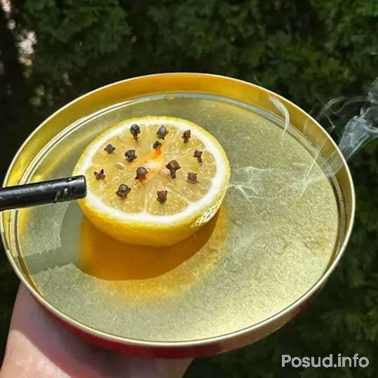 лимон і звоздика
